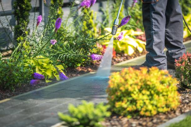 Best Dumpster Area Cleaning  in Salina, OK